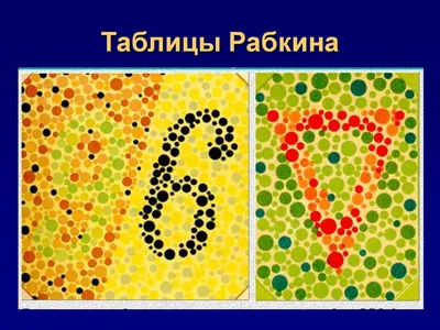 Плакат Таблица ламинир. для исследования цветоощущения: Рабкина 610x914 мм  — купить в интернет-магазине по низкой цене на Яндекс Маркете