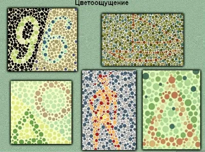 Glazbook - Полихроматические таблицы (тесты) для исследования цветоощущения  (Рабкин, Ишихара)