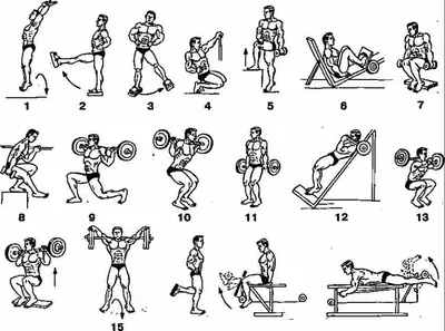 Упражнения в тренажерном зале для мужчин в картинках обои