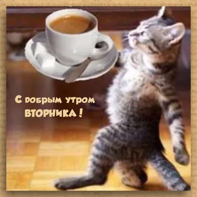 Красивая картинка \"С Добрым утром! Прекрасного вторника!\" • Аудио от  Путина, голосовые, музыкальные