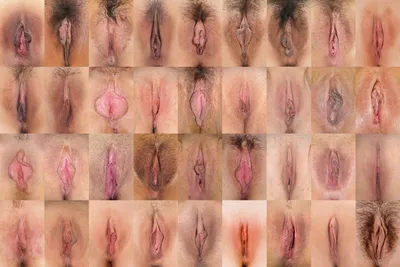Десять видов женских писек (85 фото) - секс и порно