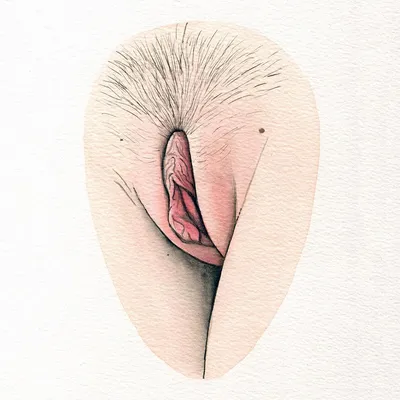 Женские письки с отвисшими и растянутыми половыми губами (30 фото)