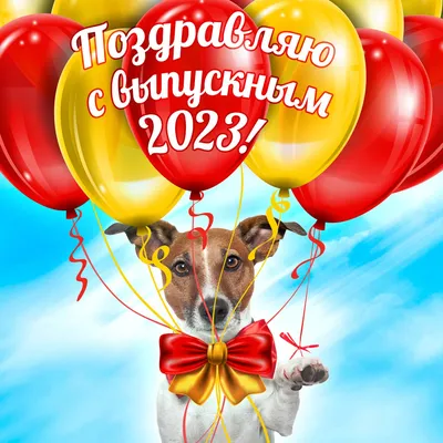 Открытки на последний звонок и выпускной 2024 - скачайте на Davno.ru