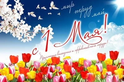 1 мая - праздник Весны и Труда » МО Унцукульский район