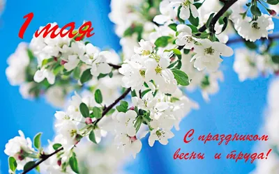 1 мая – Праздник Весны и Труда! | СИБИРСКИЙ ЮРИДИЧЕСКИЙ УНИВЕРСИТЕТ