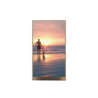 IPS LCD Module 480x854 LCD Display 5 Inch TFT Screen With 45 Pin FPC