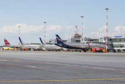 Около 1,5 тыс. школьников побывали на экскурсиях в аэропорту Симферополь в  этом году