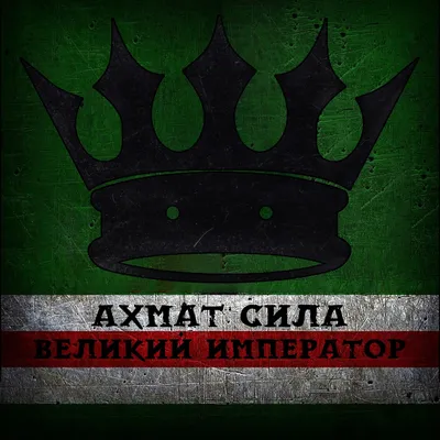 Кадыров опубликовал видео с говорящим «Ахмат — сила!» пленным бойцом ВСУ:  Общество: Россия: Lenta.ru