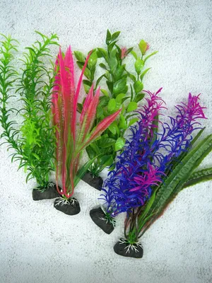 Растение искусственное, Vallisneria, 25 см. Длинностебельные аквариумные  растения. (ID#1858845397), цена: 130 ₴, купить на Prom.ua