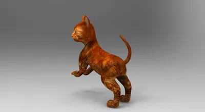 анимированный милый кот 3D Модель $49 - .3ds .fbx .max .ma .obj - Free3D