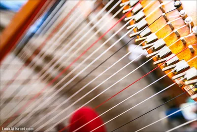 Музыкальный инструмент, лира 16 струн, арфа/ гусли — купить в  интернет-магазине по низкой цене на Яндекс Маркете