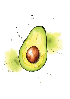 Симпатичный рисунок авокадо каракули | Премиум векторы