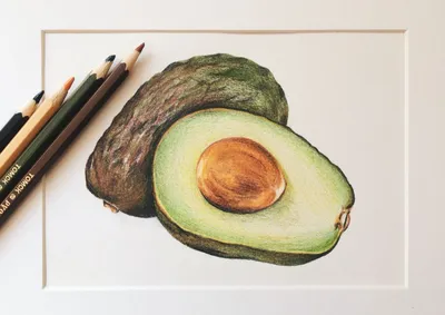 Рисунки авокадо для срисовки легкие маленькие - 56 фото
