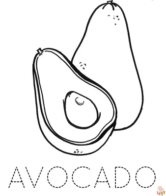 Рисунки авокадо для срисовки (76 фото)