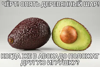 Авокадо картинки смешные обои