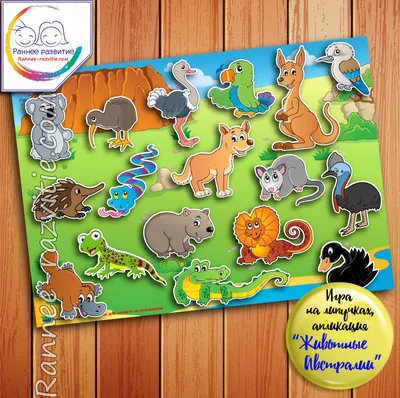 Животные АВСТРАЛИИ для детей | Изучаем животных Австралии - YouTube