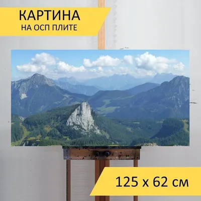 Картина по цифрам Романтичная Австрия (KHO4134) 40 х 50 см Идейка (Без  коробки) (ID#996582242), цена: 250 ₴, купить на Prom.ua