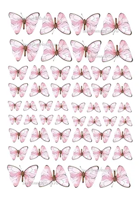 Бабочки картинки для печати обои
