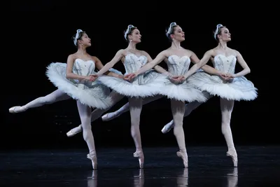 Вреден ли балет? #ОШИБКИ НОВИЧКОВ. - YouTube