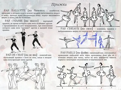 Балетные термины с картинками: ан деор и ан дедан | Алиса Кнатько | Дзен