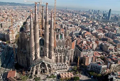 Барселона - лучший город для жизни. Путешествия по Испании - Барселона.  Июнь. Старый город. Район Борн. Цветущая жакаранда 📸Руслан: В августе или  осенью в БАРСЕЛОНУ? Обращайтесь🥂 мои экскурсии по городу, Каталонии и