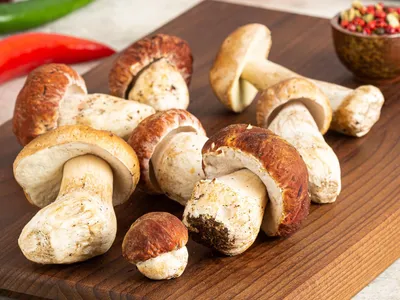 Грибы Боровик ( белый гриб) - «Всю зиму кормлю семью супами из белых грибов  и нехило экономлю. Как отличить белый гриб от других видов? Где собирать,  как обрабатывать, заготавливать и что приготовить