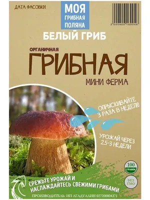 Белые грибы сушеные молотые, грибной порошок 100гр - купить с доставкой по  выгодным ценам в интернет-магазине OZON (700848658)