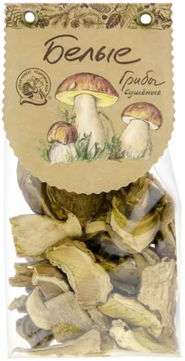 Как быстро растут белые грибы | Пикабу