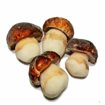 Белые грибы — Smart Food
