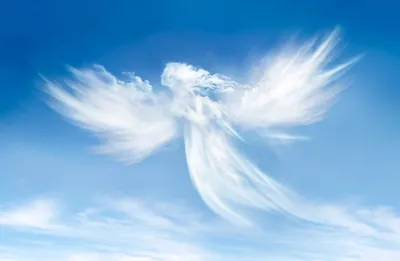 Красивый белый ангел, ведёт за …» — создано в Шедевруме