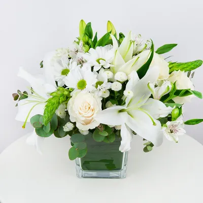 Купить Монобукет «Белый ангел» из каталога Белые розы в Норильске -  «Эдемский сад»