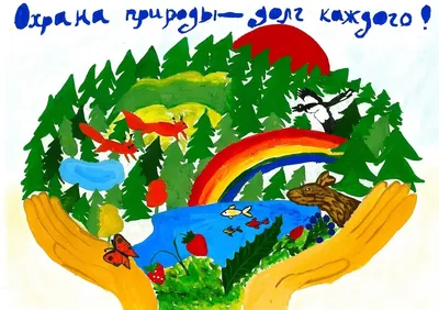 В Краснодарском крае стартовал творческий конкурс «Сортируй отходы – береги  природу!» — АО «Крайжилкомресурс»