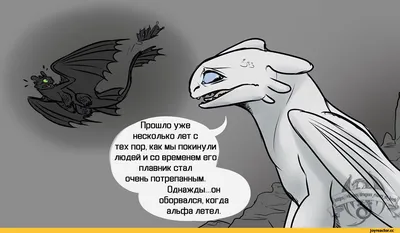 Беззубик (Toothless) :: Как приручить дракона 3 (How to train your dragon  3, HTTYD 3,) :: Ночная Фурия :: Как Приручить Дракона (How to Train Your  Dragon, HTTYD) :: DreamWorks :: длиннопост ::