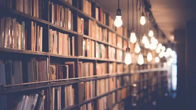 605 алтайских библиотек примут участие в акции «Библионочь-2022»