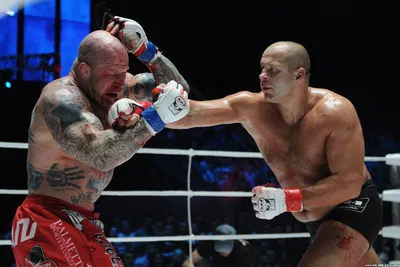 Бой без правил: Почему рефери UFC массово «засуживают» российских бойцов |  23.12.2022 - Спорт Mail.ru