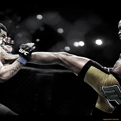 Обои UFC Спорт Mix Fight, обои для рабочего стола, фотографии ufc, спорт,  mix, fight, драки, бои, без, правил Обои для рабочего стола, скачать обои  картинки заставки на рабочий стол.
