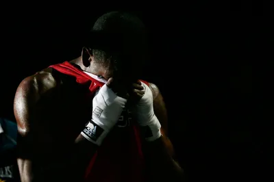 MERAGOR | Фото боксера скачать на аву