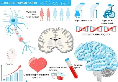 Причины и симптомы болезнь Альцгеймера у молодых - АКАДЕМФАРМ