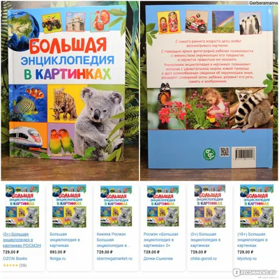 Книга Росмэн Энциклопедия в картинках для самых маленьких купить в детском  интернет-магазине ВотОнЯ по выгодной цене.