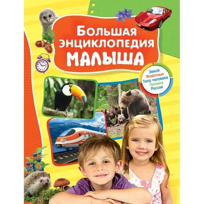 РОСМЭН Большая иллюстрированная энциклопедия для детей
