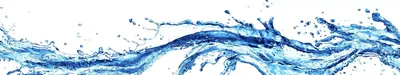 брызги воды PNG , всплеск вектор, вода, волны на воде PNG картинки и пнг  PSD рисунок для бесплатной загрузки