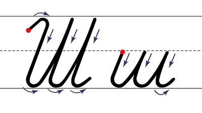 Как пишется буква Ш. Пишем букву Ш правильно и красиво. Исправляем почерк.  Пропись. — Видео | ВКонтакте