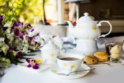 Вечернее чаепитие | Пикабу