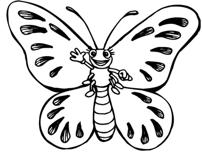 Черно-белые картинки бабочки для детей