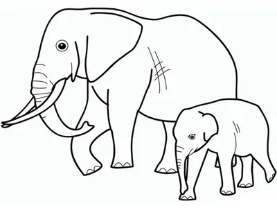 черно-белые рисунки с изображением квадратных животных, нарисованные  вручную смешные иероглифы с изображением морда Иллюстрация вектора -  иллюстрации насчитывающей каракули, рука: 218277911