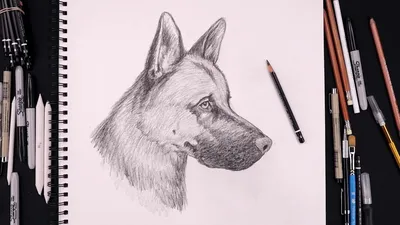 Рисунки для срисовки тату животные (33 шт)