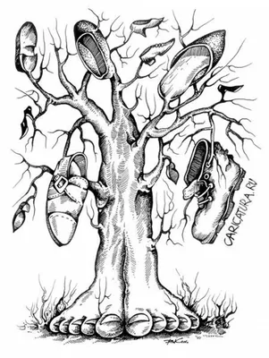 Раскраски Чудо дерево чуковский (29 шт.) - скачать или распечатать  бесплатно #30398