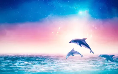 Фон с дельфинами - 35 фото