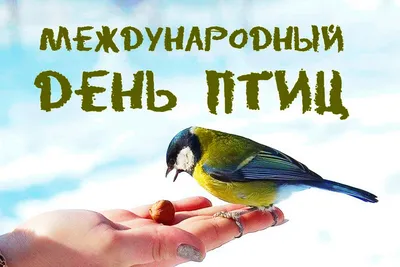 1 апреля отмечается Международный день птиц. / Администрация городского  округа Ступино