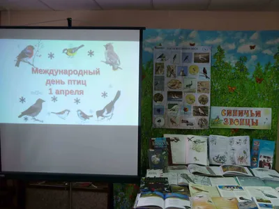 День птиц стартует в Зооцентре «Питон» 7 апреля | Официальный сайт органов  местного самоуправления г. Комсомольска-на-Амуре